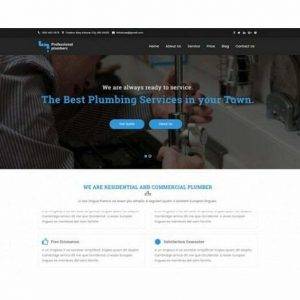 Plumber - HTML Template